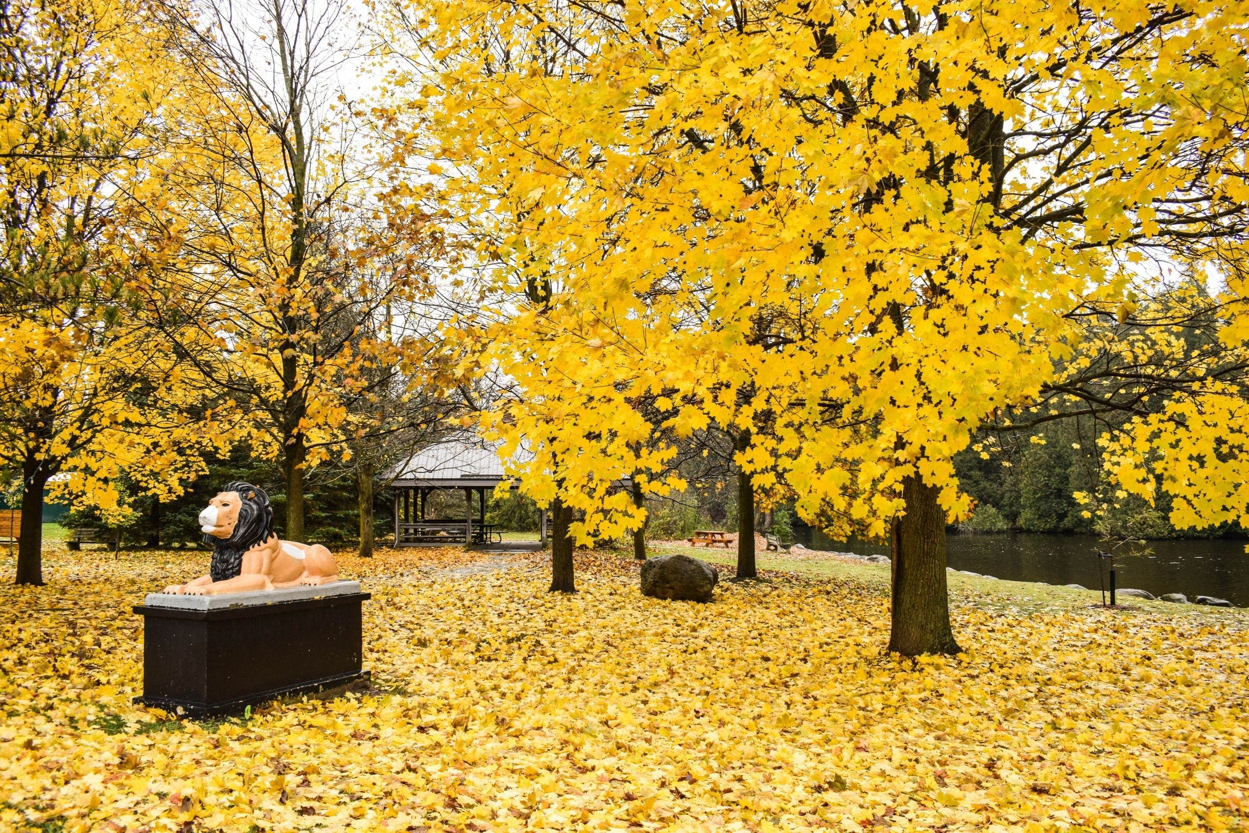 Living in Rockwood, ON Best Things to do GoWylde Team